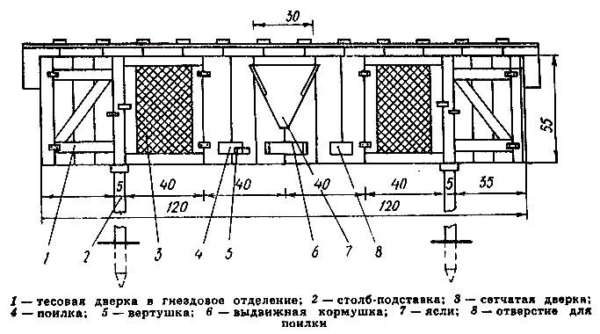 Схема клетки